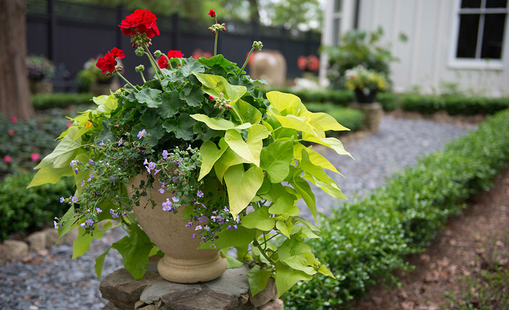 Quel pot de jardin choisir pour faire un bel extérieur ?